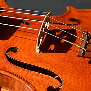 VIOLINO ONE – Wolfgang Steinke Schaffhausen