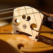 VIOLINO ONE – Wolfgang Steinke Schaffhausen