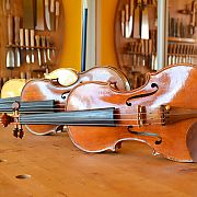VIOLINO ONE – Wolfgang Steinke Schaffhausen