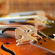 VIOLINO ONE – Wolfgang Steinke Schaffhausen
